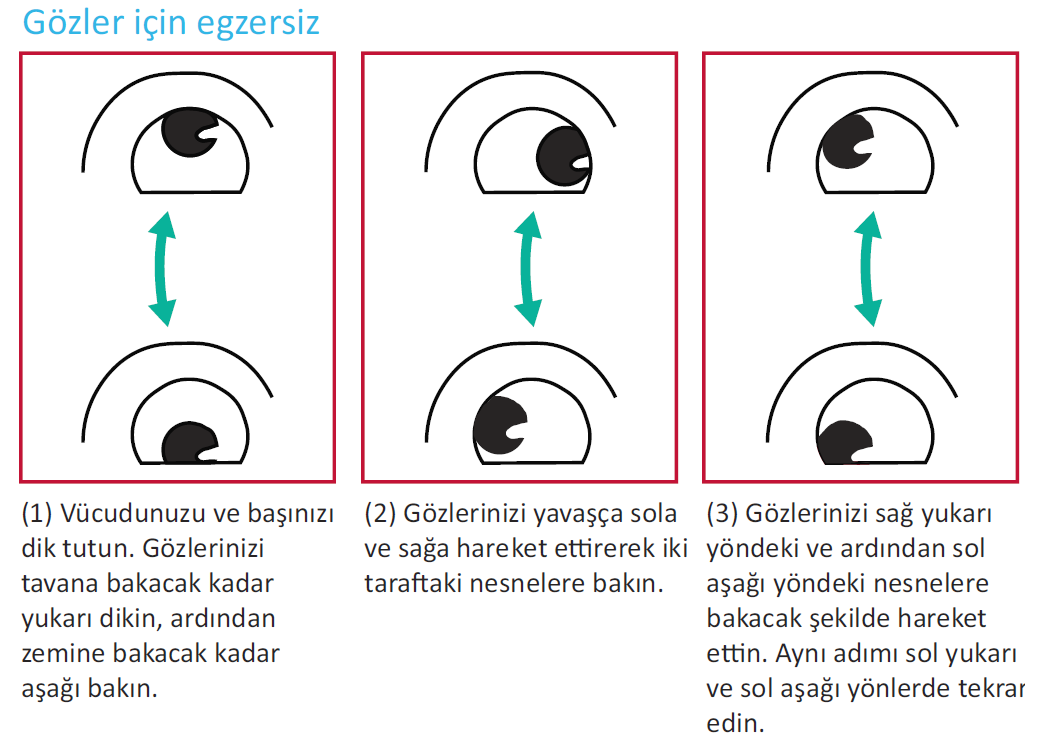 File:Exercises For The Eyes TRK.png