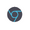 Chromium icon
