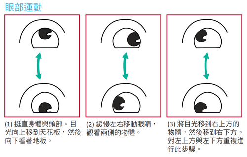 眼睛運動