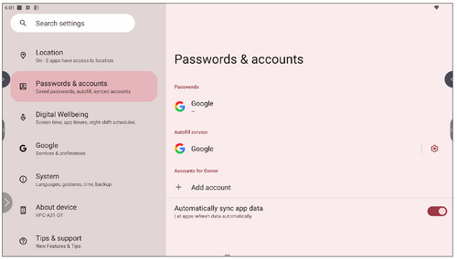 Passwords & Accounts