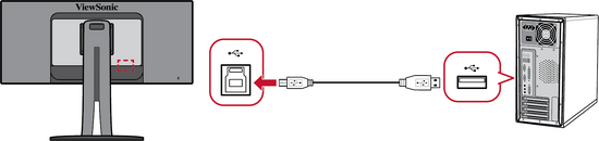 Firmware Connection