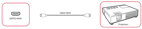 Connexion pour la sortie vidéo