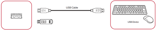 USB Connection
