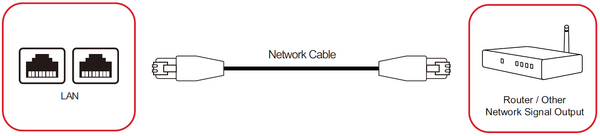 Network Connection