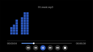 Media player