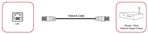 Network Connection