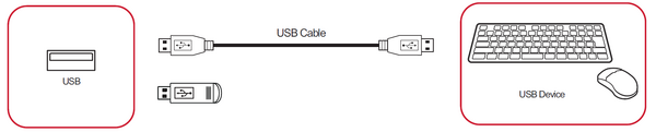 USB Connection